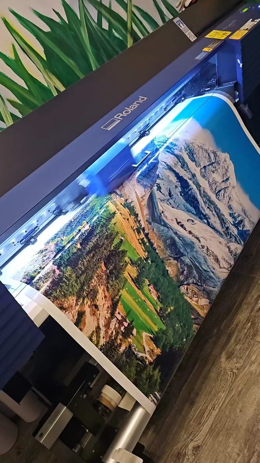 Digitaldruckbesipiel